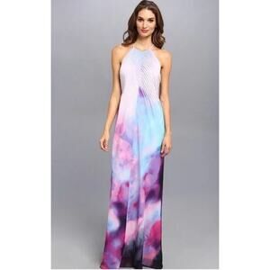 Ted Baker Alexxis Summer At Dusk Print Purple Maxi Dress Womens Size 10